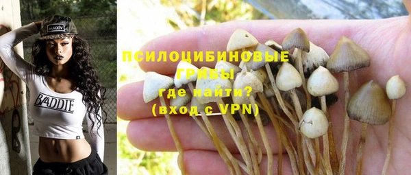 кокс Алексин